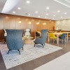 beautiful vibrant lounge area